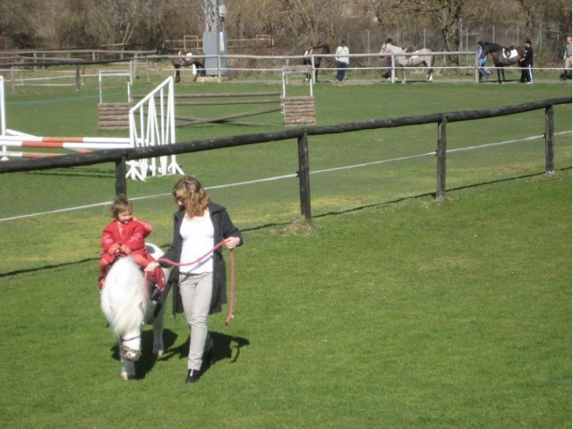  Balades avec le poney et une personne âgée 